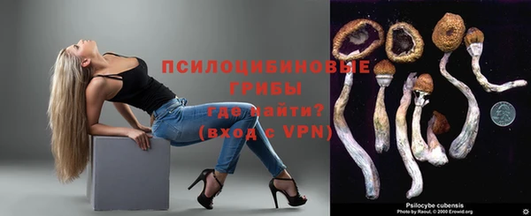 гидра Белоозёрский