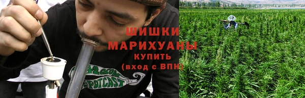 гидра Белоозёрский