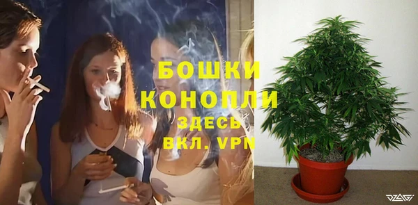 гидра Белоозёрский