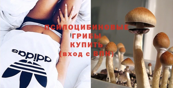 гидра Белоозёрский