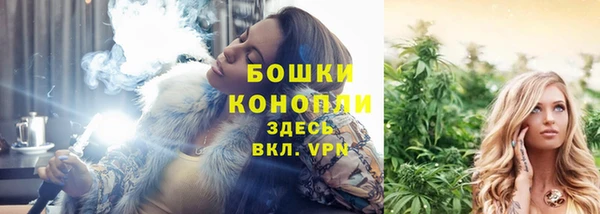 гидра Белоозёрский
