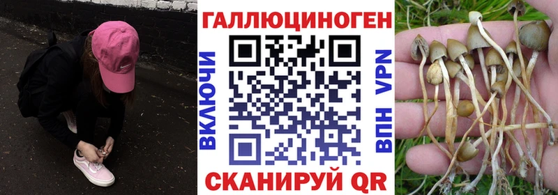Псилоцибиновые грибы Psilocybine cubensis  хочу наркоту  Дигора 