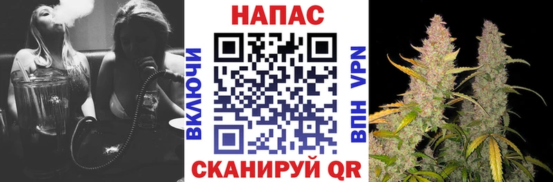 Канабис MAZAR  Дигора 